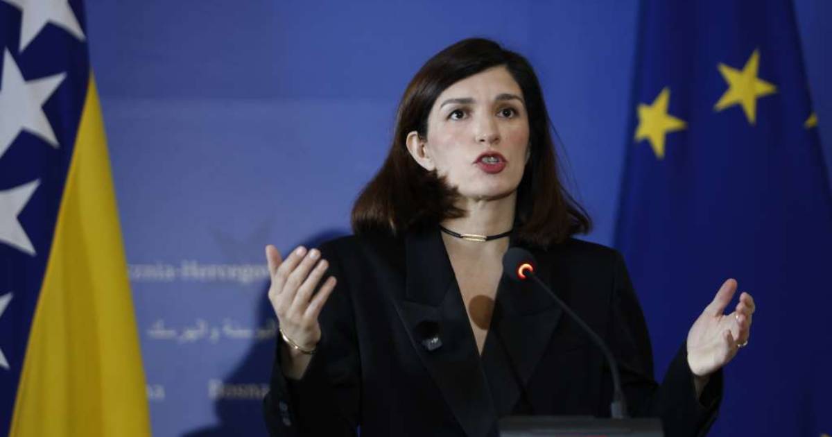 Ćudić: BiH mora zaustaviti maligni vanjski uticaj i usvojiti evropske standarde
