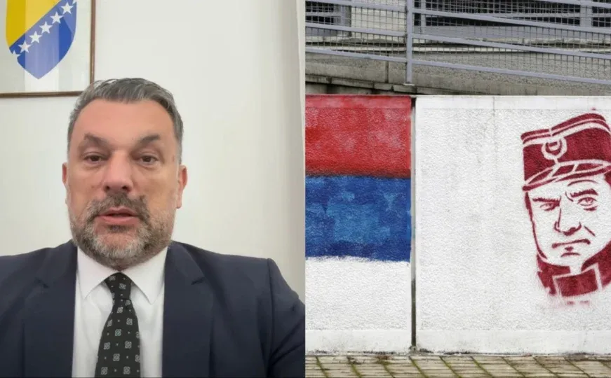 Konaković: Niko Srbiji ne nameće zločinca Mladića