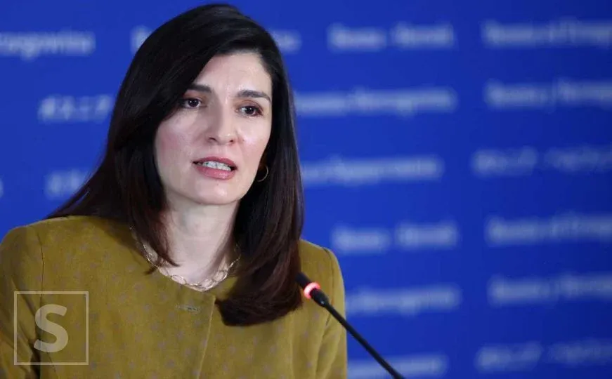 Ćudić o sahrani Mladića: "Beograd je danas europska prijestolnica monstruoznosti"