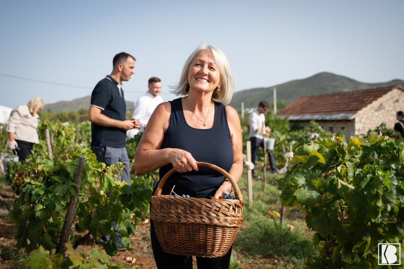 Predsjedateljica Vijeća ministara BiH Borjana Krišto domaćin tradicionalne diplomatske berbe grožđa