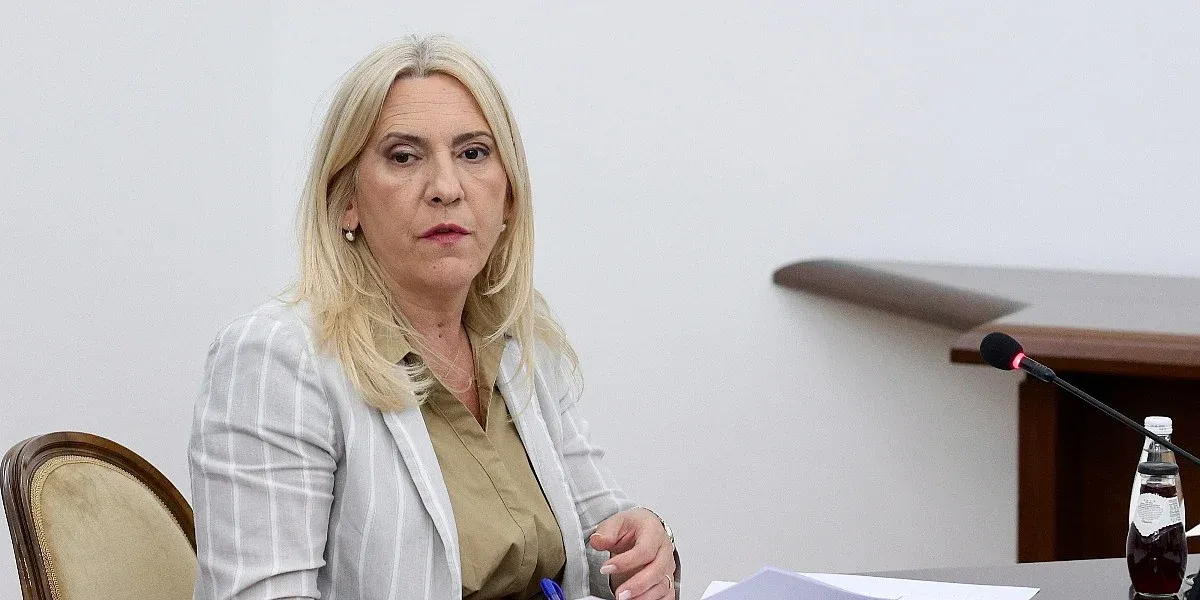 Cvijanović prijavila Konakovića SIPA-i, on poručio da ju je natjerao da se obraća institucijama koje je željela ukinuti