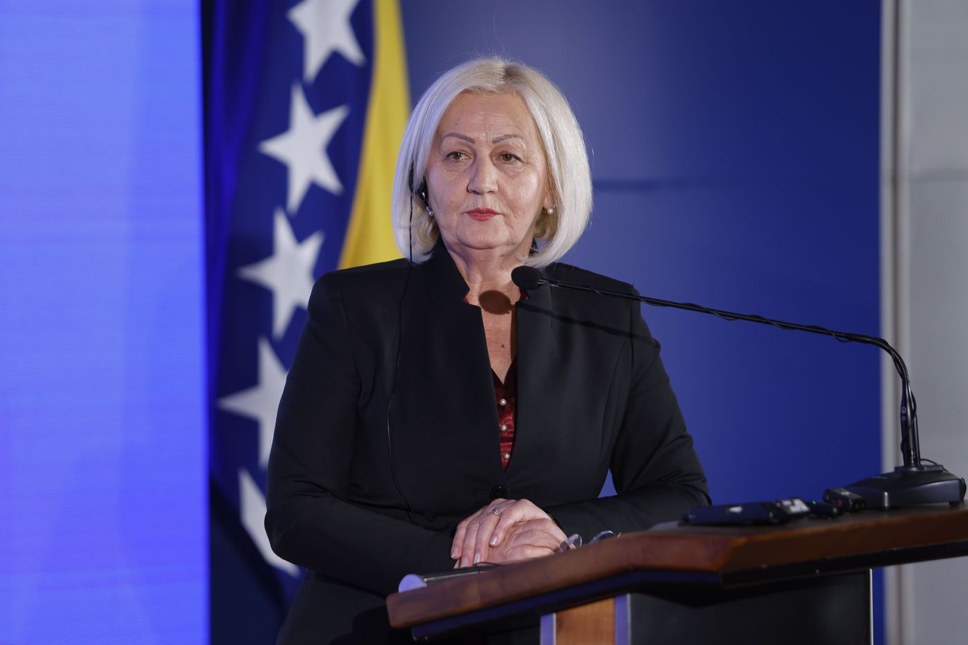 Krišto thanks Croatia for swift assistance in fighting wildfires in BiH