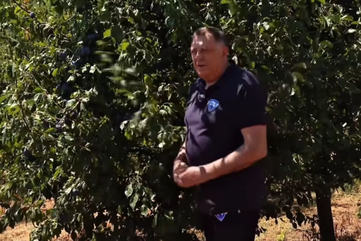 Dodik iz voćnjaka: “Šljiva je simbol srpstva, srpske tradicije i karaktera”