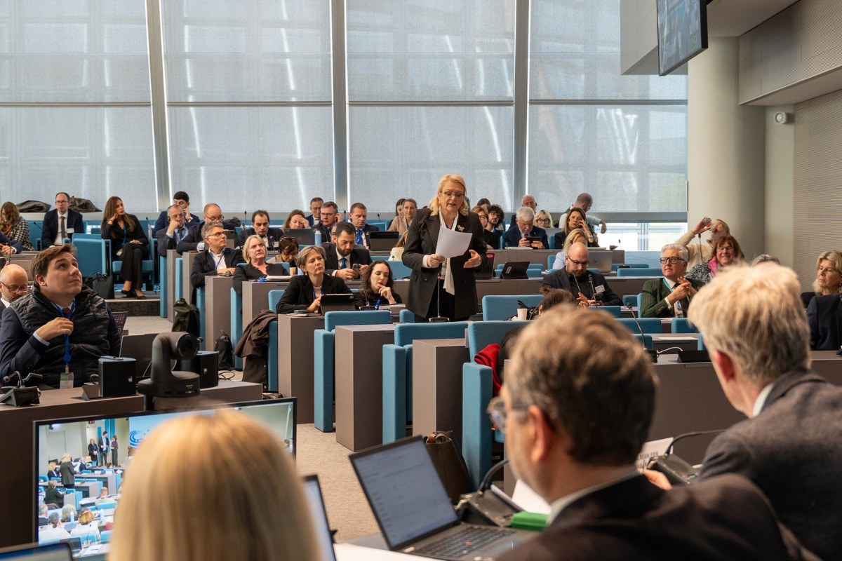 Lidija Bradara izabrana za potpredsjednicu Doma regija Vijeća Europe