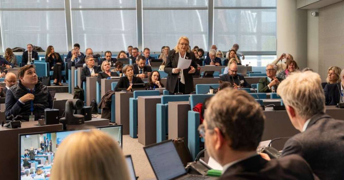 Lidija Bradara izabrana za potpredsjednicu Doma regija Vijeća Evrope